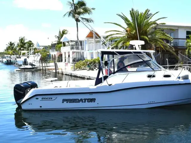 Boston Whaler 305 Conquest