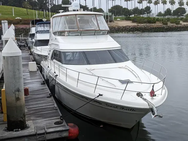 Sea Ray 560 Sedan Bridge