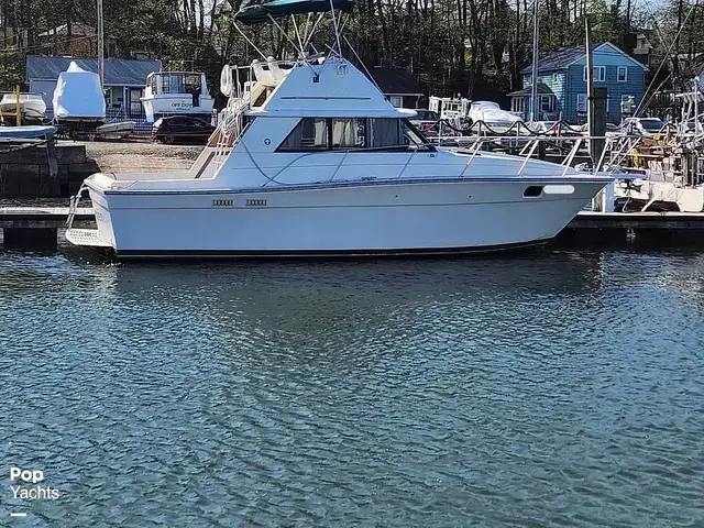 Silverton 31 Convertible