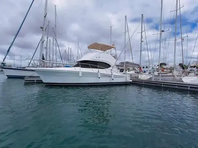 Riviera 33 Flybridge