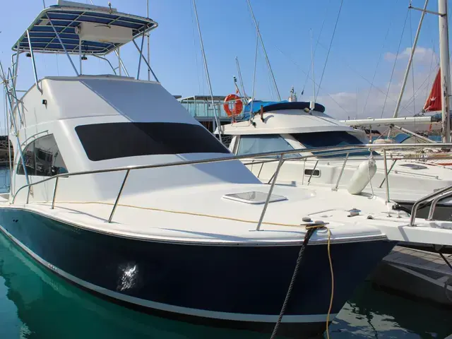 Luhrs 34 Convertible