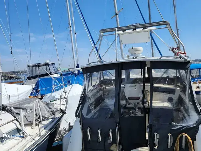 Luhrs 340