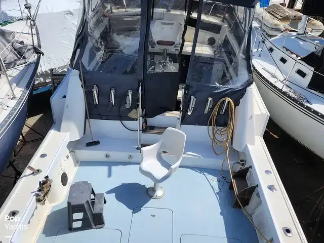 Luhrs 340