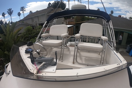 Skipjack 26 Flybridge