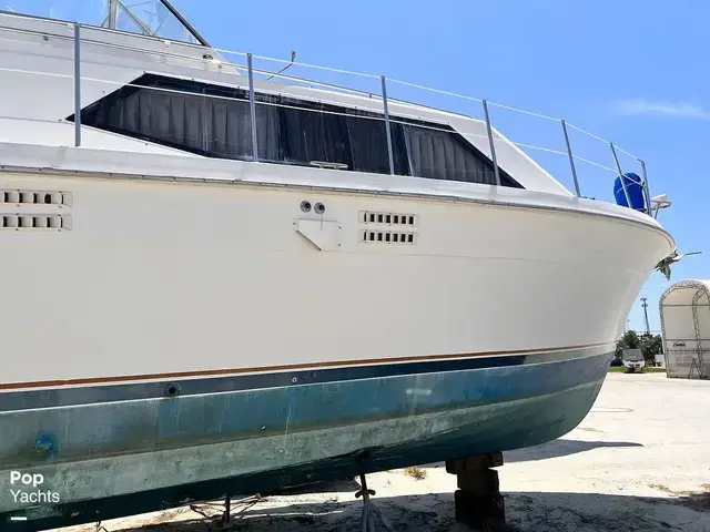 Trojan 36 Tri Cabin