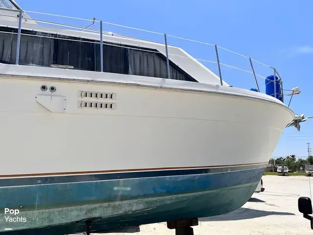 Trojan 36 Tri Cabin