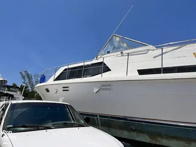 Trojan 36 Tri Cabin