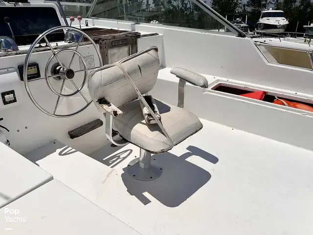 Trojan 36 Tri Cabin