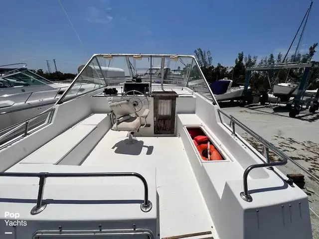 Trojan 36 Tri Cabin