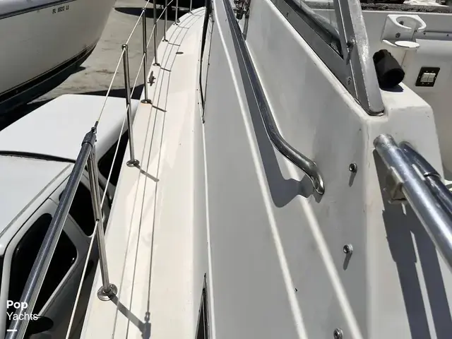 Trojan 36 Tri Cabin