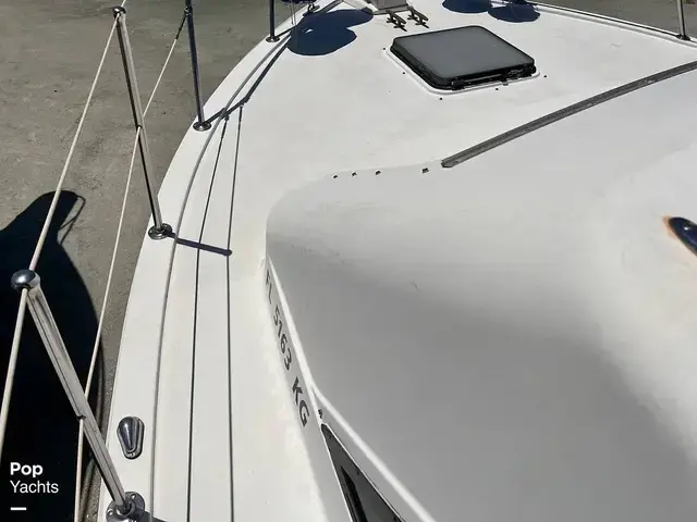 Trojan 36 Tri Cabin