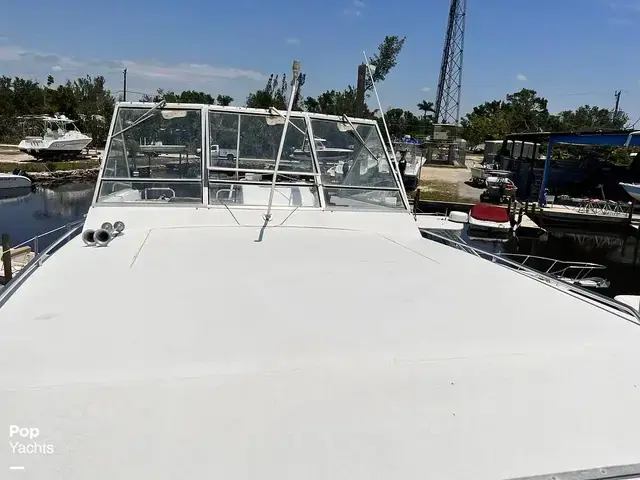 Trojan 36 Tri Cabin