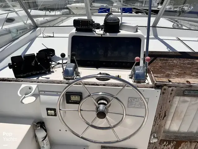 Trojan 36 Tri Cabin