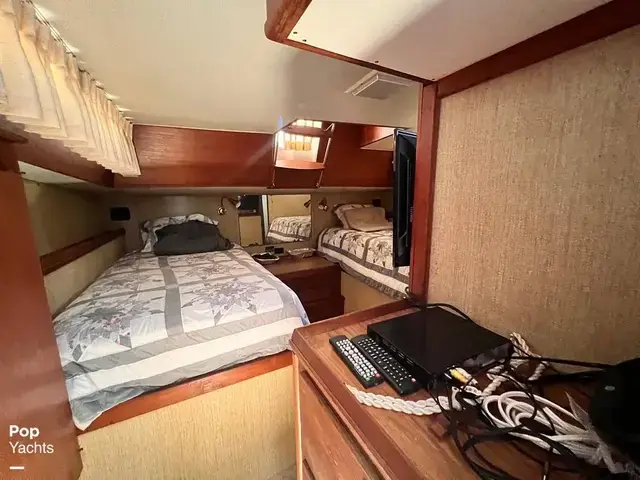 Trojan 36 Tri Cabin