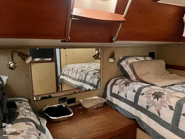 Trojan 36 Tri Cabin