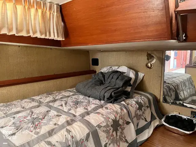 Trojan 36 Tri Cabin