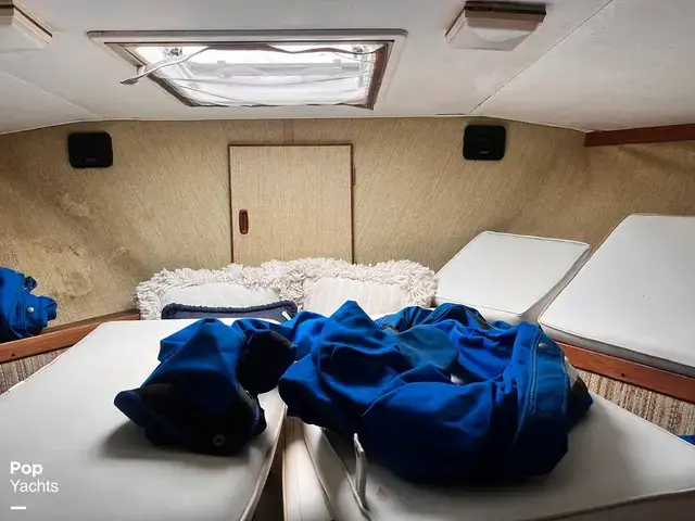 Trojan 36 Tri Cabin