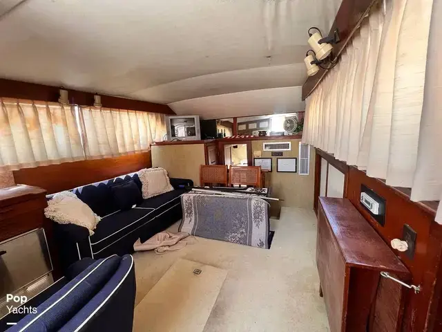 Trojan 36 Tri Cabin