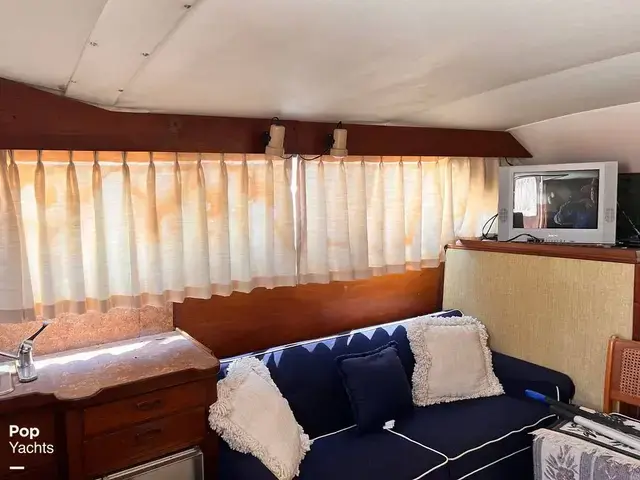 Trojan 36 Tri Cabin