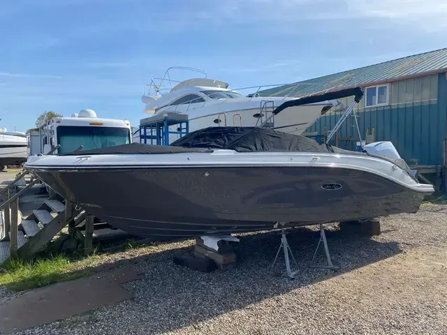 Sea Ray 230 SPOe Outboard