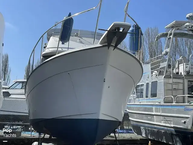 Bayliner 3270 Motoryacht