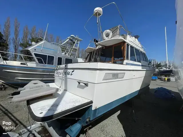 Bayliner 3270 Motoryacht