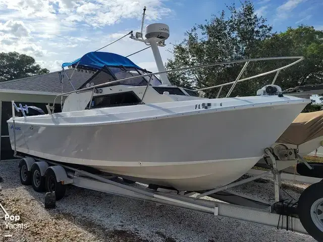 AquaSport Boats 246 Explorer