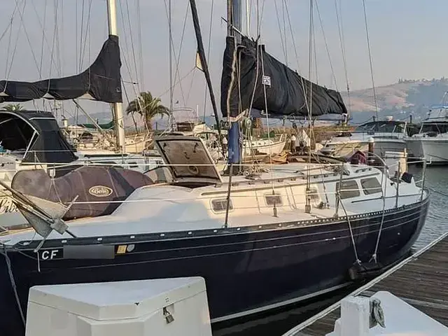 Islander 36