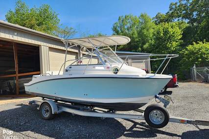 Trophy Boats 1952 Walkaround