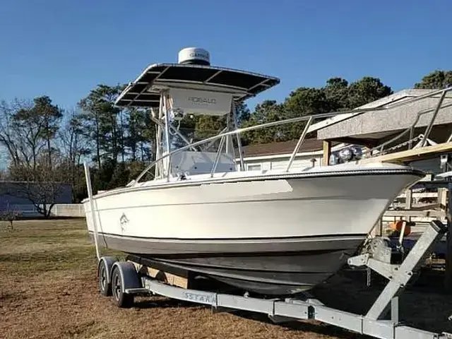 Robalo 2320 cc