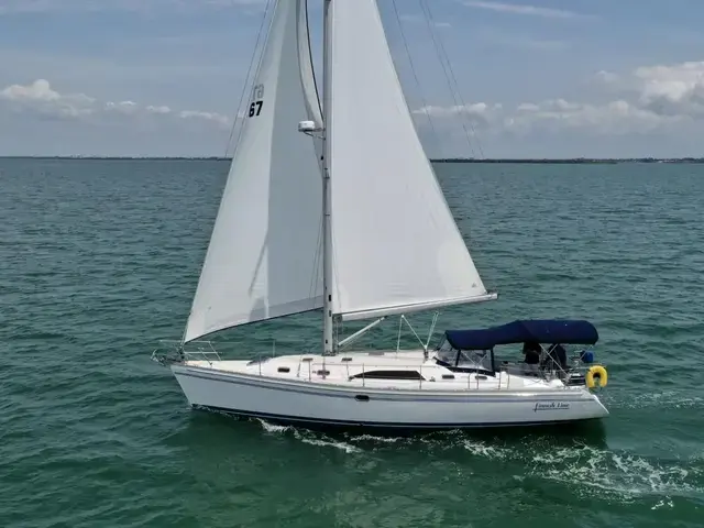 Catalina 445