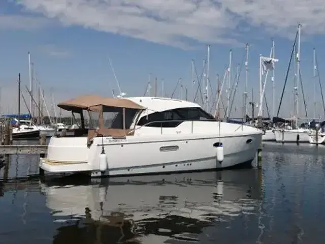 Rodman Spirit 31