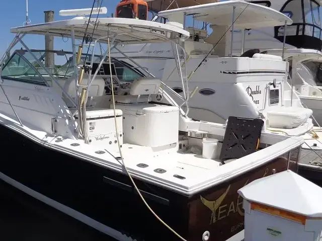 Wellcraft Coastal 330