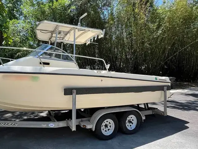 Shamrock 220 Adventurer