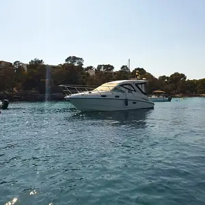 2006 Sealine SC29