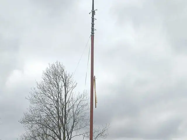 Westerdijk Zeeschouw 8.00