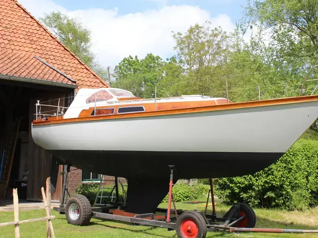 Koopmans 31