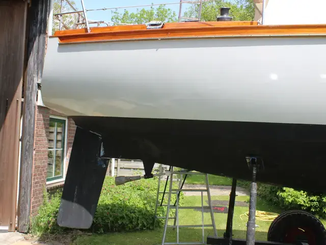 Koopmans 31