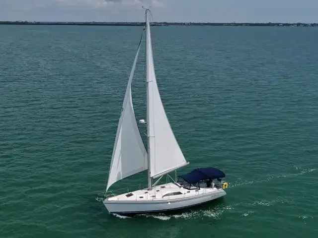 Catalina 445