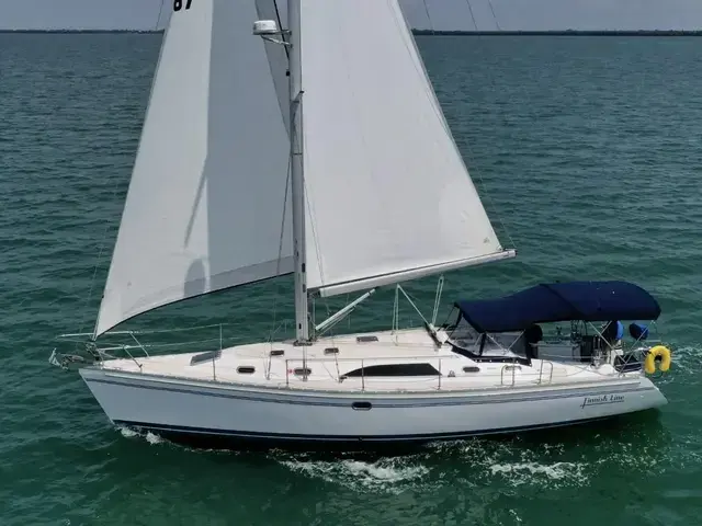 Catalina 445