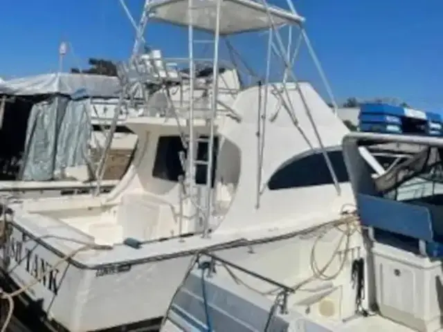 Luhrs 35 Convertible