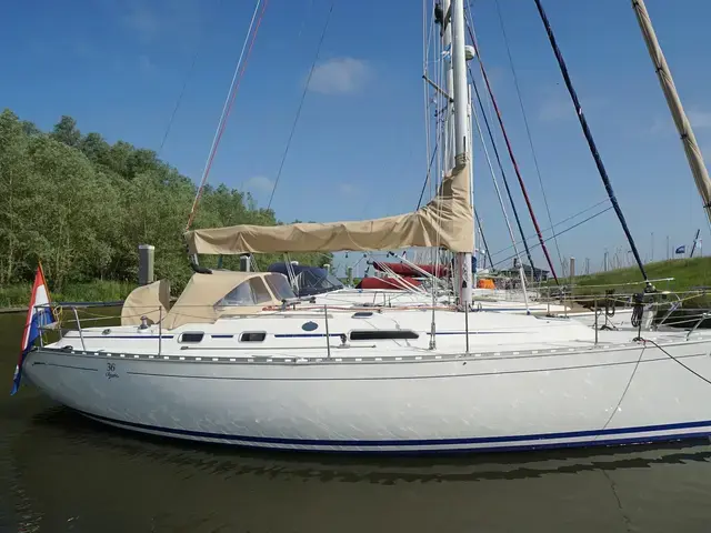 Dufour 36 Classic 2 Cabin