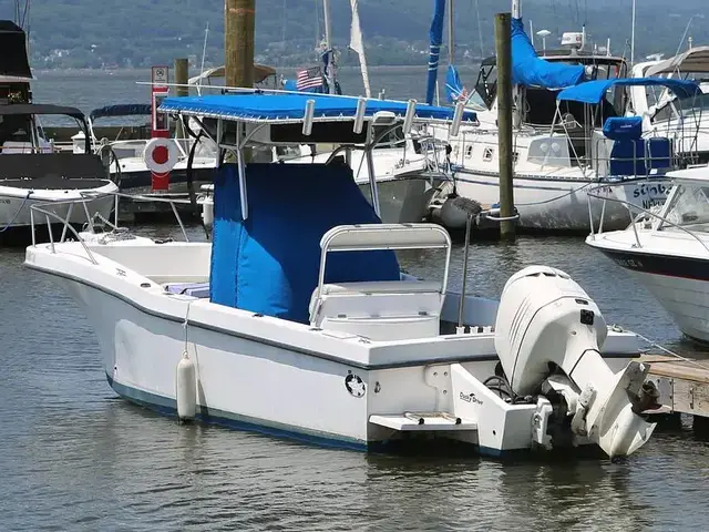 Dusky Marine 256