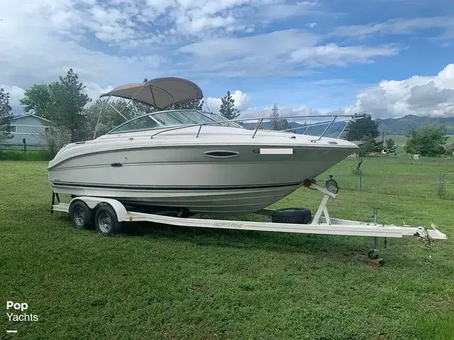 Sea Ray 225 Weekender