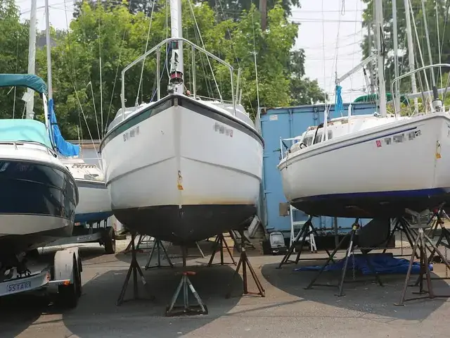 Macgregor 26m