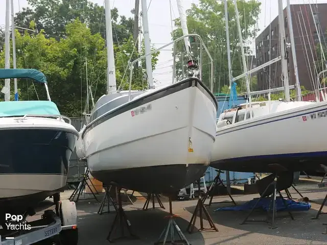 Macgregor 26m