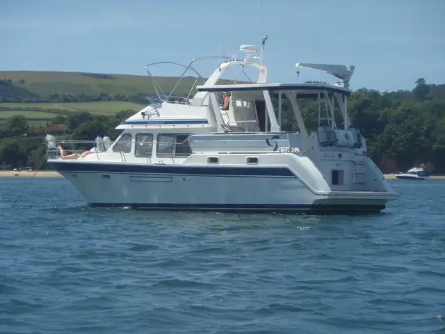 Trader 445 Signature