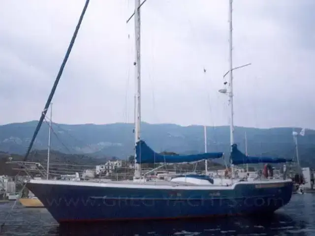 Olympic Queen 42