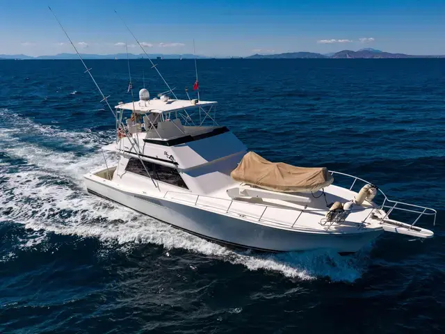 Viking Yachts 53 Convertible