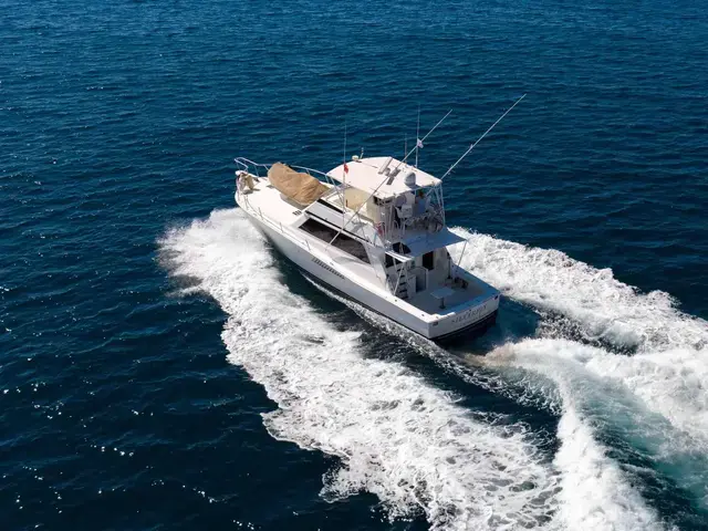 Viking Yachts 53 Convertible